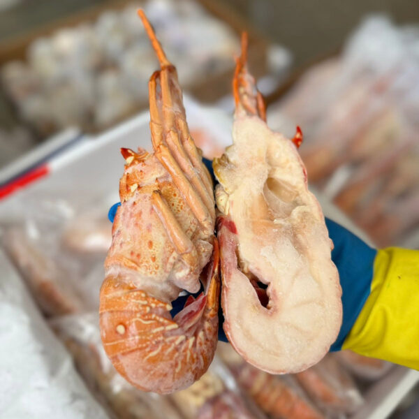 Lagosta inteira pré-cozida 2,5kg partida ao meio