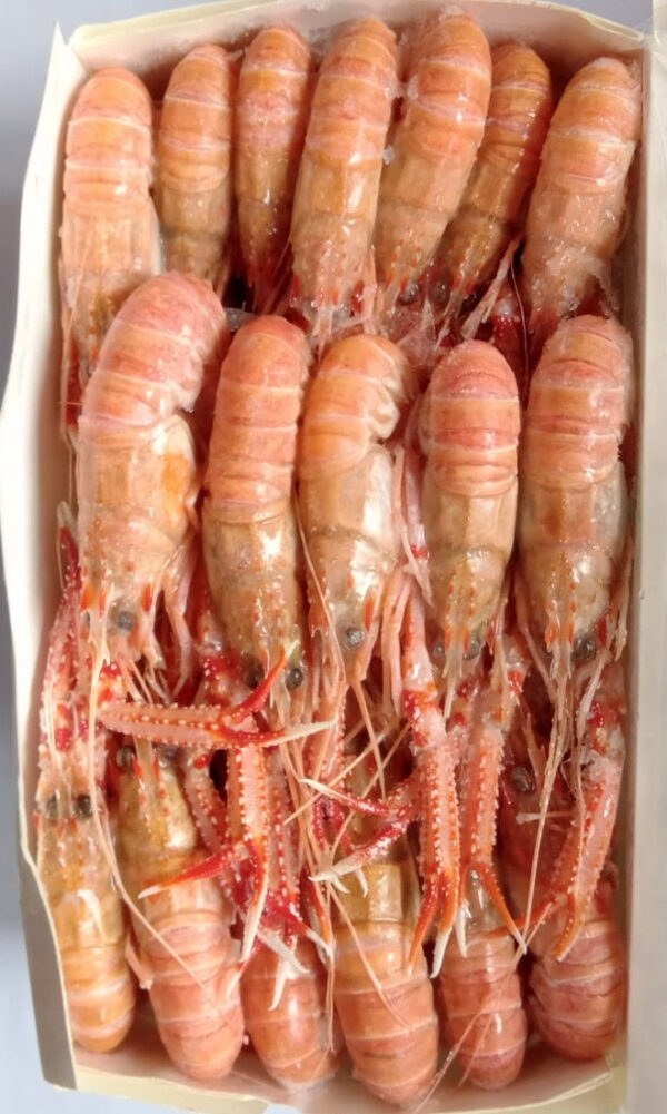 Lagostim cx 2kg