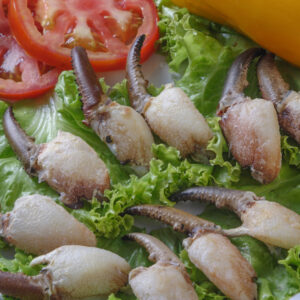 Patinha de Caranguejo dz
